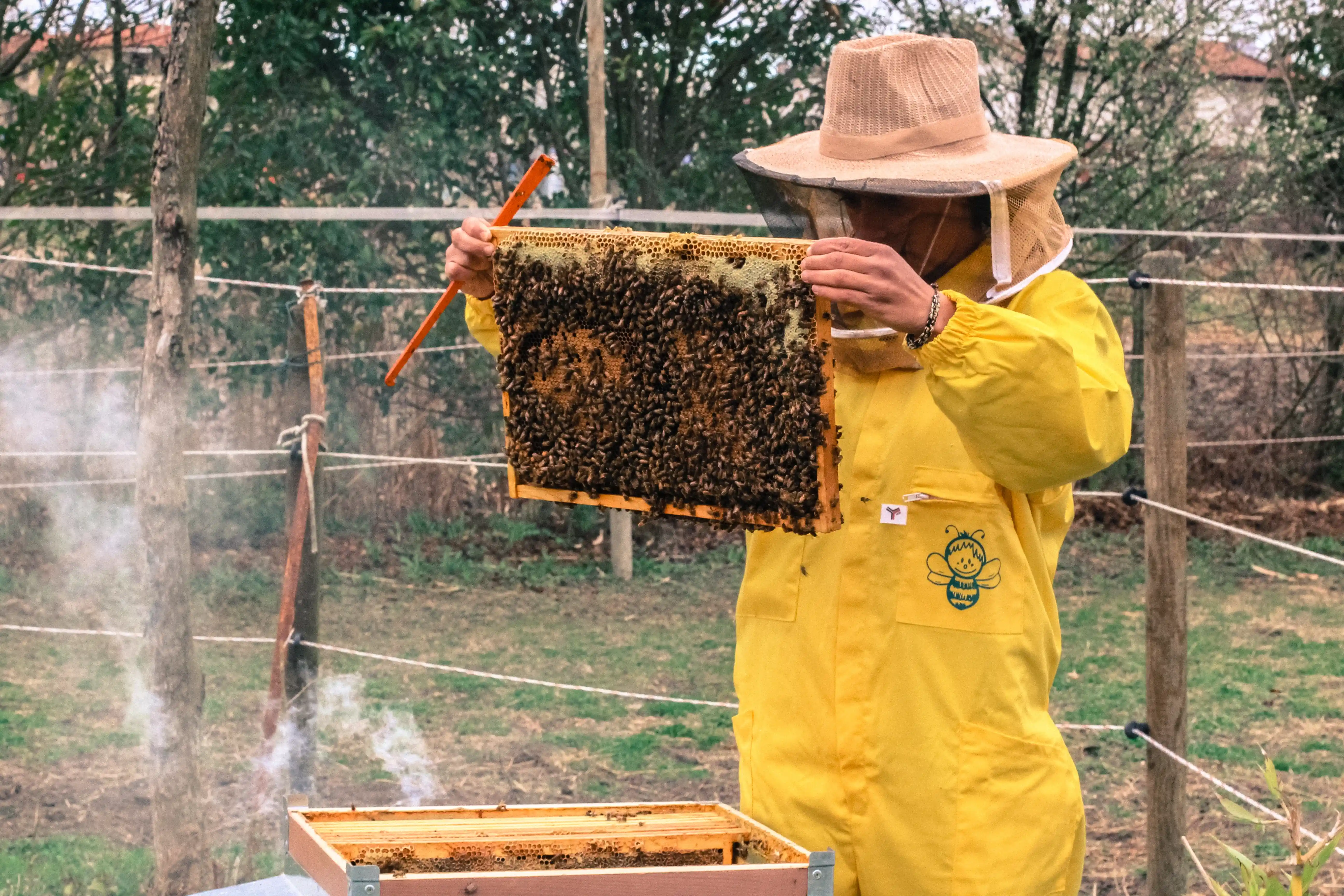 apicoltore andalenta